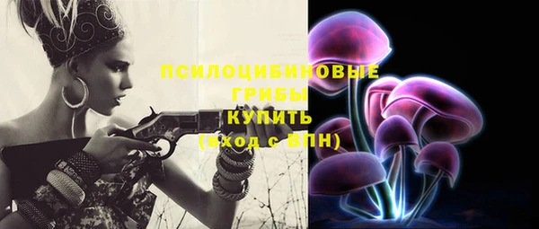 крисы Вязники