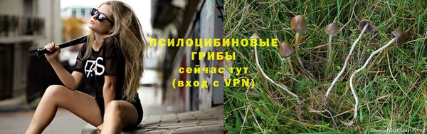 ECSTASY Володарск
