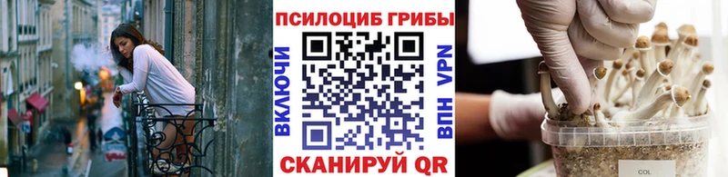 Псилоцибиновые грибы GOLDEN TEACHER  Купить  Великие Луки 