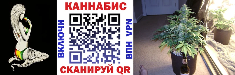 Марихуана OG Kush  Купить где  Великие Луки 